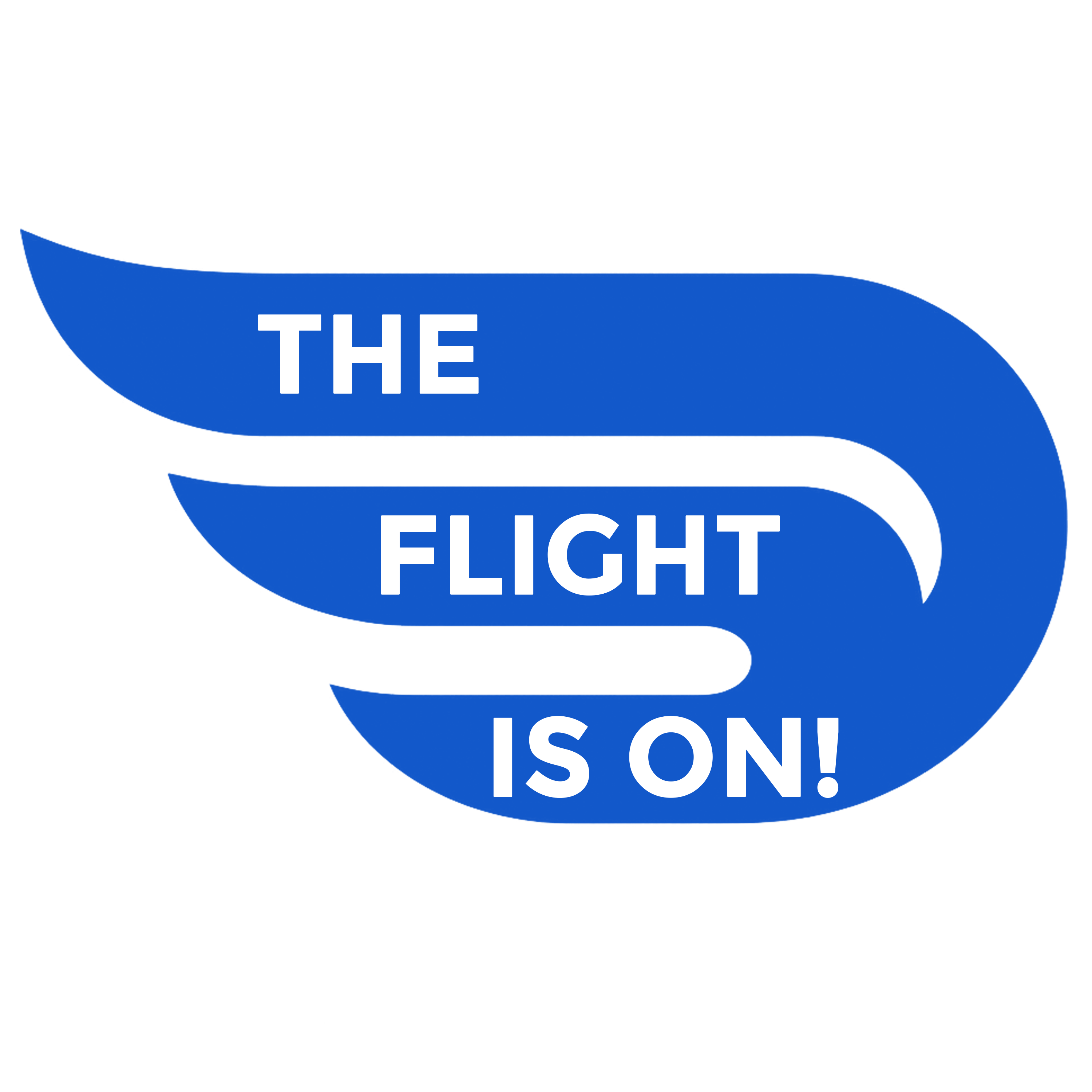 FlyExpress Travel and Tours Logo