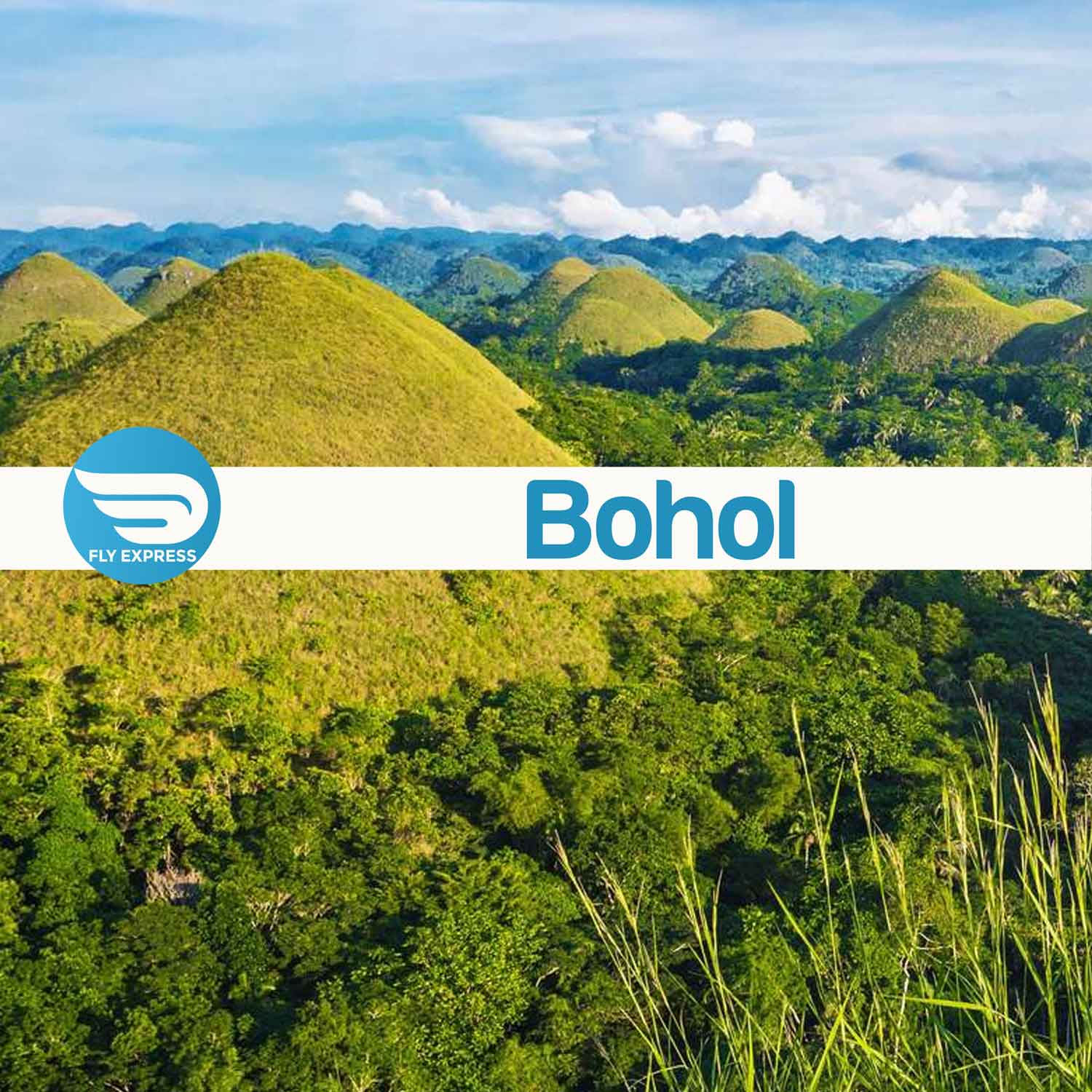 Bohol
